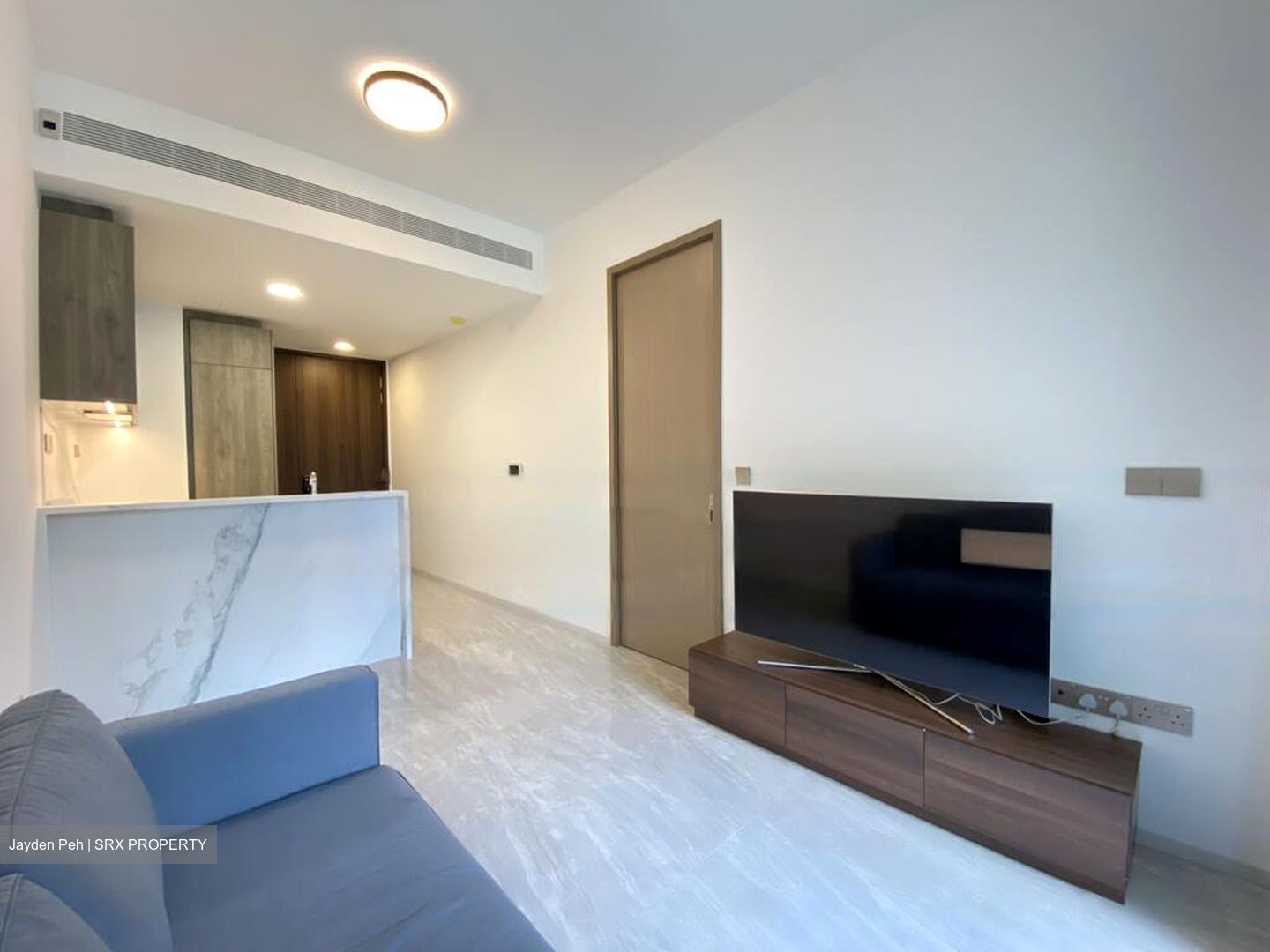 Leedon Green (D10), Condominium #478648821